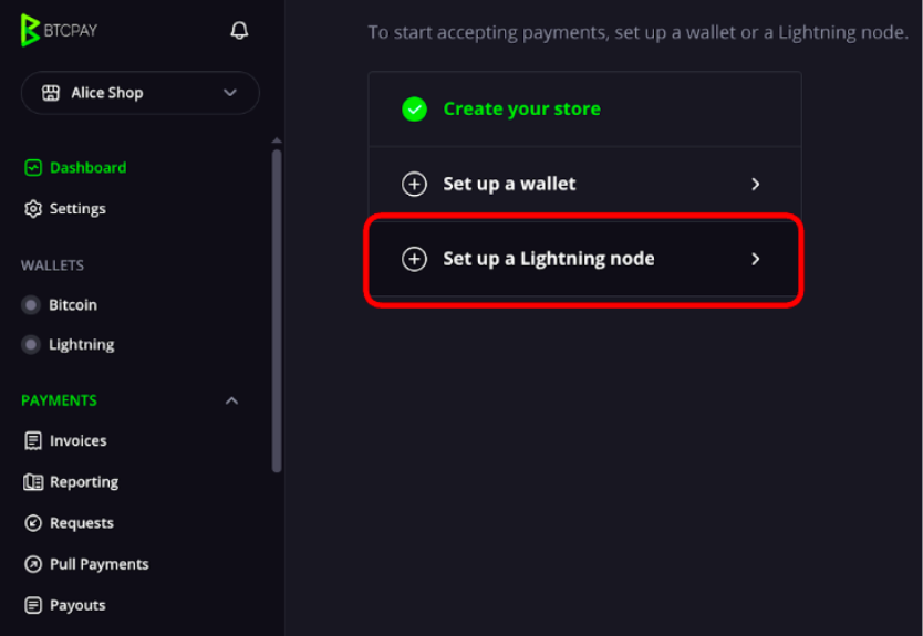 btcpay10