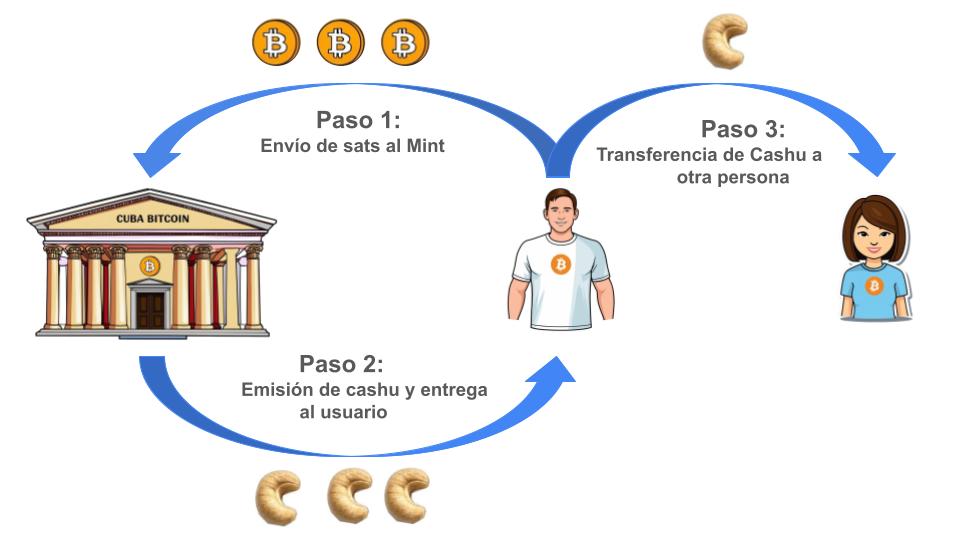cashubasic2