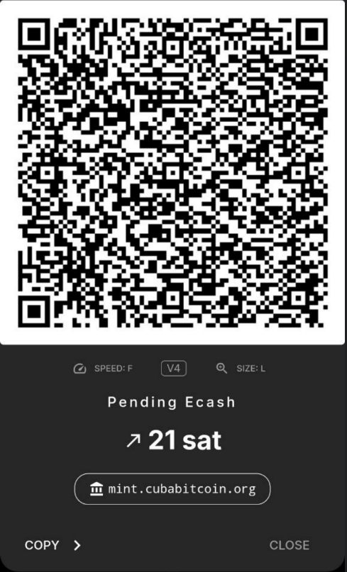 cashubasicsend3